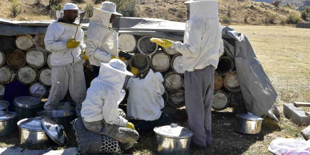 3 kere dünya birinciliği aldı! Meşhur balda hasat devam ediyor: Kilosu 3.000 TL’den yoğun talep görüyor 1